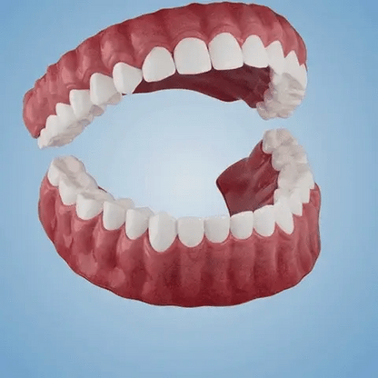 DarkFairy™ Custom-Fit Dentures — Designed for Comfort and a Natural-Looking Smile